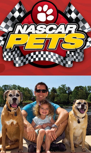 Danica's dog, other NASCAR pets star in 2016 calendar